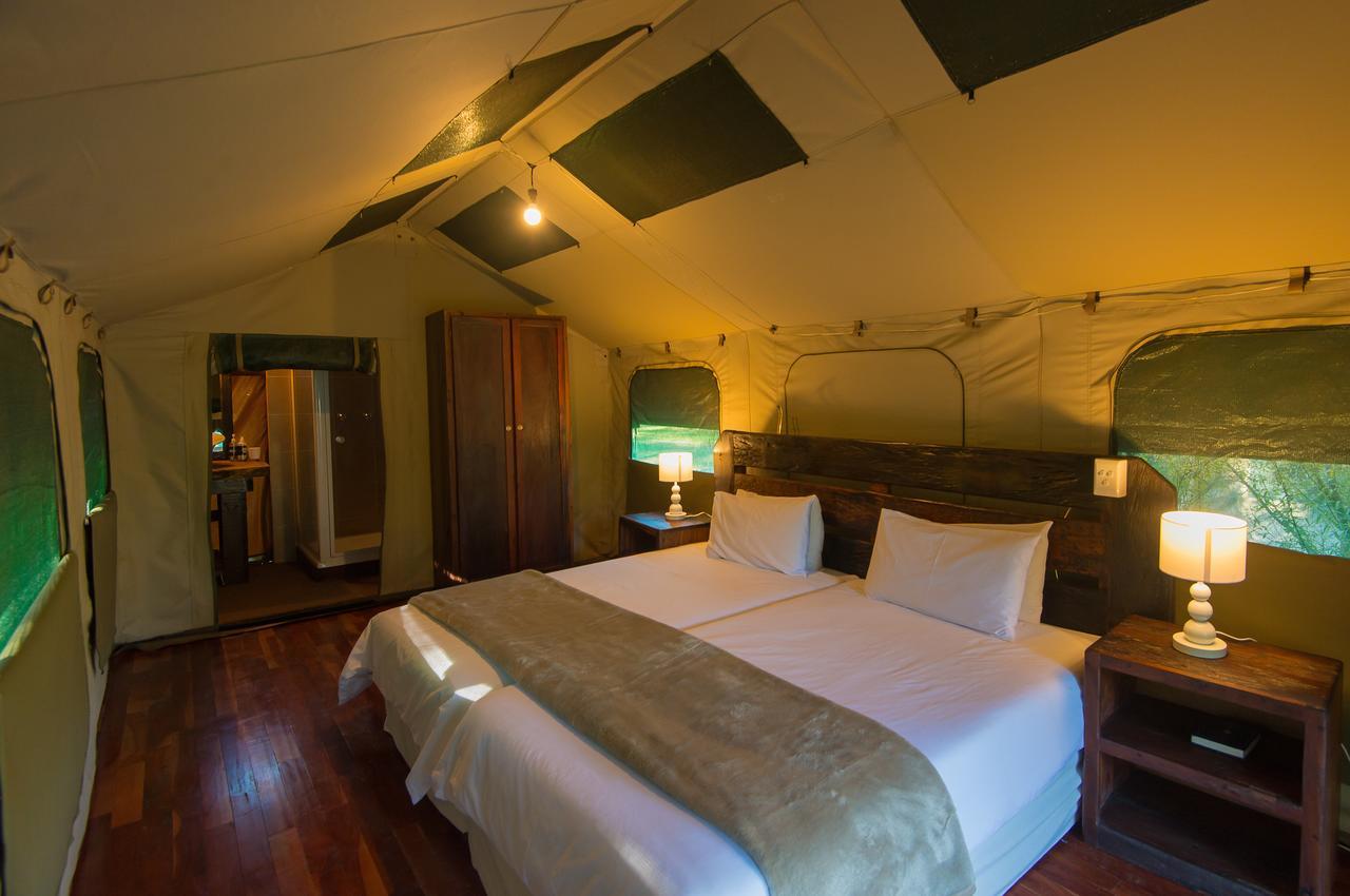 Amadwala Lodge Roodepoort Δωμάτιο φωτογραφία